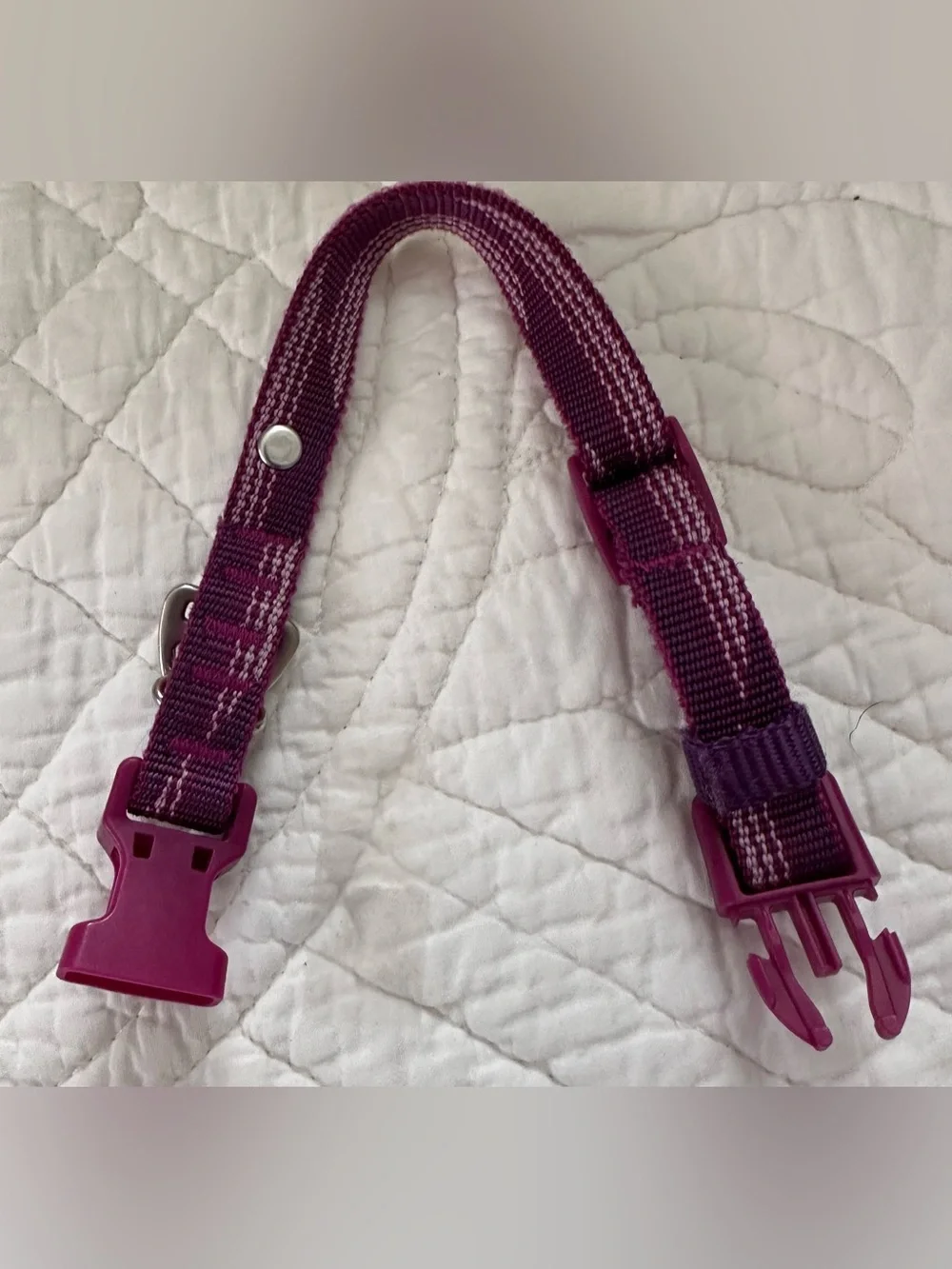 New~Frisco Plum Adjustable Dog Collar